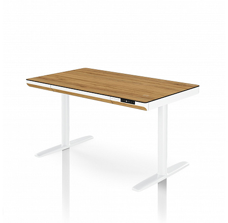 Elektrický výškovo nastaviteľný stôl sit-stand so zásuvkou a bezdrôtovou nabíjačkou Qi biely/zlatý dub, 1200 mm: ELLIS Elektrický výškovo nastaviteľný stôl sit-stand so zásuvkou a bezdrôtovou nabíjačkou Qi biely/zlatý dub, 1200 mm: ELLIS