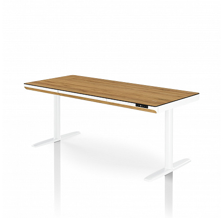 Elektrický výškovo nastaviteľný stôl sit-stand so zásuvkou a bezdrôtovou nabíjačkou Qi, biely/zlatý dub, 1600 mm: ELLIS Elektrický výškovo nastaviteľný stôl sit-stand so zásuvkou a bezdrôtovou nabíjačkou Qi, biely/zlatý dub, 1600 mm: ELLIS