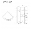 Šatníková skriňa CARINI - CA7, svetlý grafit/biely lesk/dub nash