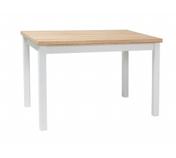 ADAM TABLE WOTAN DOUBLE / WHITE MAT 100x60