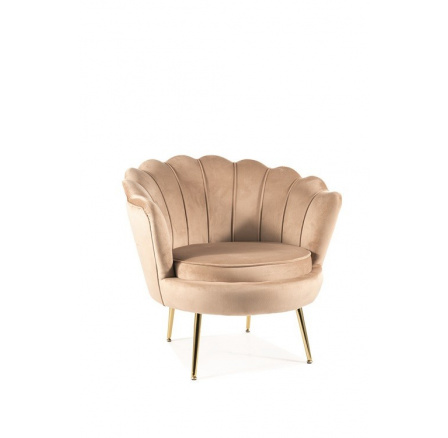 CARMELA 1 VELVET - stolička, látka BEACH - MODRÁ 28/nohy ZLATÉ - (CARMELIAV1BEZL) (S) (K250-E)