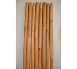 Bambusová tyč 3 - 4 cm, dĺžka 2 metre - medovo lakovaná