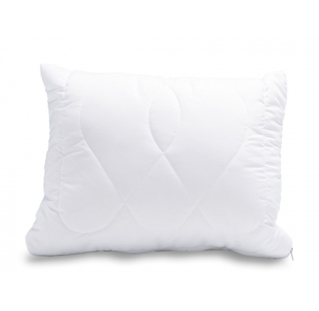 Vankúšik Aloe Vera 30x40cm 180g so zipsom Vankúšik Aloe Vera 30x40cm 180g so zipsom