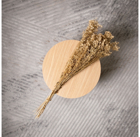 Kytica sušená SOPHILLA gypsophila 70 cm 729997