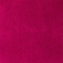 PARIS RED ROSE