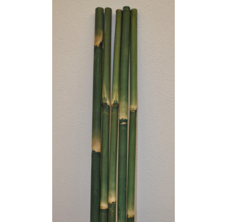 Bambusová tyč 3 - 4 cm, dĺžka 2 metre - farbená na zeleno