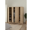 Šatní skriňa BIRGER 053, Jackson hickory