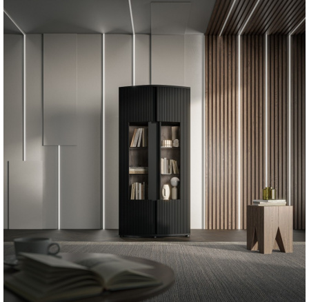 Vitrína MICHELLE 2D, čierna/ dub viking