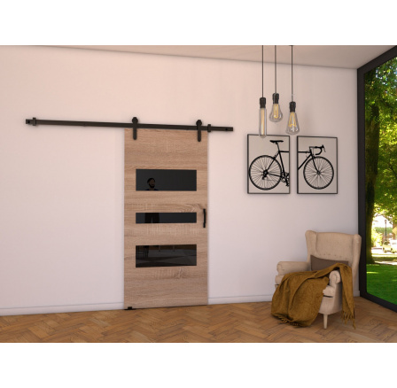 Posuvné dvere LOFT C70, Sonoma/čierna