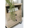Šatníková skriňa CALI C-15, Artisan/čierna matná