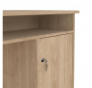 Písací stôl FELIX 491, Jackson hickory