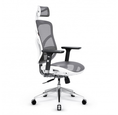 Ergonomické kancelárske herné kreslo Basic, bielo-sivá