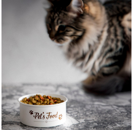 Miska na krmivo pre domáce zvieratá DINGO 0.5 l 873589