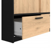 Šatní skriňa LINCOLN 2D2S, Čierny mat/Jackson hickory
