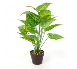 Umelá rastlina Alocasia 55 cm