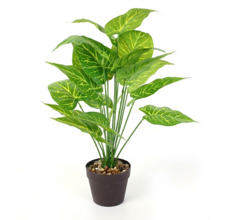Umelá rastlina Alocasia 55 cm Umelá rastlina Alocasia 55 cm