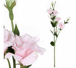 Eustoma - umělá řezaná květina, růžová