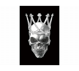 Obrázok SKULL II 80X120