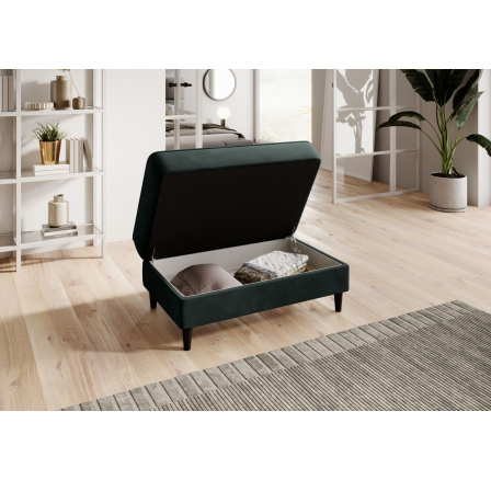 Bellis Loco 35 97x42