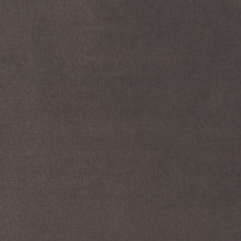 PARIS EBONY