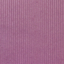 CAPRI 10