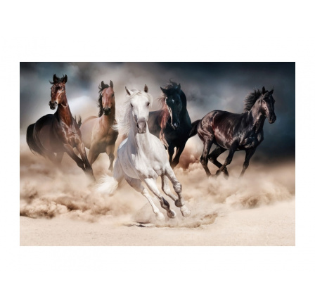Obrázok HORSES 120X80