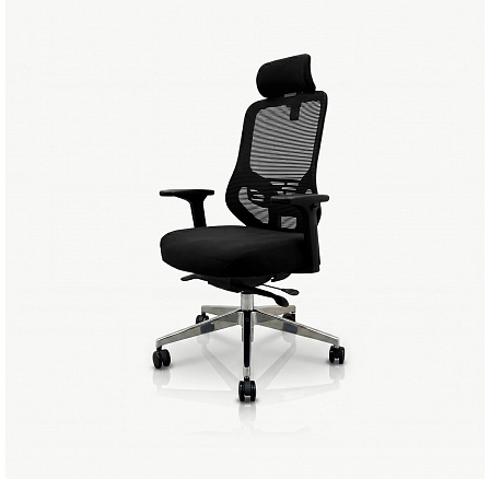 Ergonomická kancelárska stolička s čiernou sieťovinou AXISA Ergonomická kancelárska stolička s čiernou sieťovinou AXISA