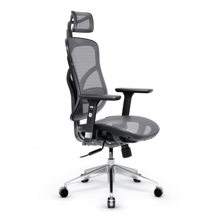 Ergonomické kreslo V-Basic, čierno-sivá