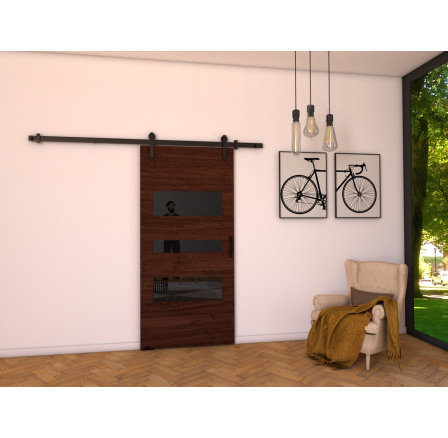 Posuvné dvere LOFT C100, Wenge/čierna Posuvné dvere LOFT C100, Wenge/čierna