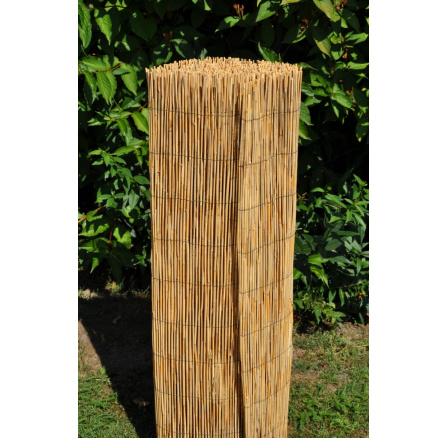 Rohož na plot z trstiny 150x500 cm Rohož na plot z trstiny 150x500 cm