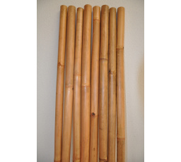 Bambusová tyč 5-6 cm, dĺžka 2 metre - lakovaná medom