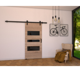 Posuvné dvere LOFT C90, Sonoma/čierna