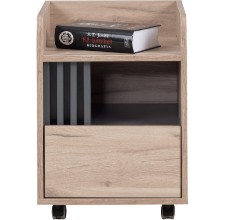 Kontajner ALLMO AL-10, Dub Estana light/Antracite