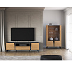 TV komoda TOSCANIA 06, dub Baltic Dune / čierny jaseň Portland