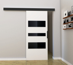 Posuvné dvere STANDART MIX - C100, biela/čierna