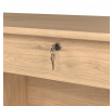 Písací stôl FELIX 519, Jackson hickory