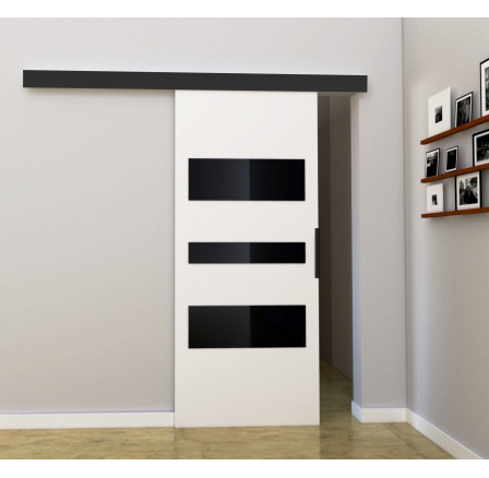 Posuvné dvere STANDART MIX - C70, biela/čierna