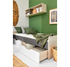 Regál REMO RM14, Dub Wilton Biela/Biela Lux/Antracit