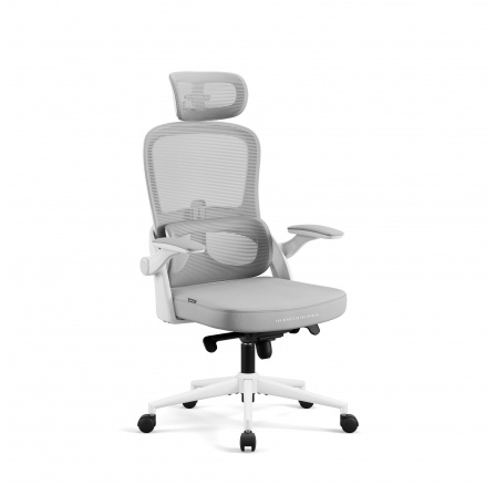 Ergonomická kancelárska stolička svetlosivá V-Light Ergonomická kancelárska stolička svetlosivá V-Light
