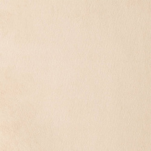 PARIS BEIGE