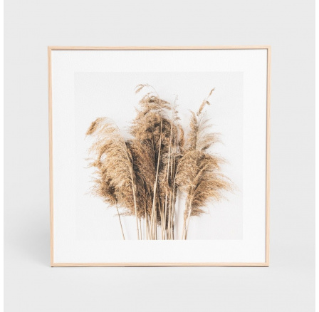 Zarámovaný obraz ZEFIR rákosie 30x30 cm 757679 Zarámovaný obraz ZEFIR rákosie 30x30 cm 757679