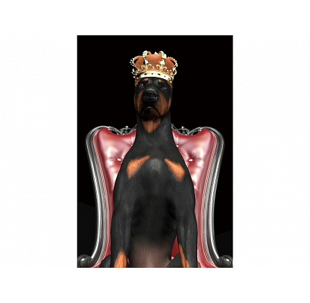 Obrázok pes v korunke 80X120 Obrázok pes v korunke 80X120