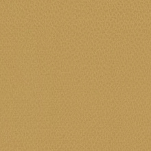 Solar 45