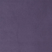 PARIS LILAC