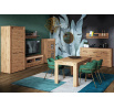 Vitrína ARTIS 04, Dub artisan