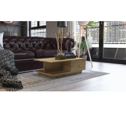 Konferenčný stolík DERIK, Dub artisan