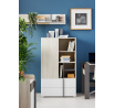 Regál REMO RM14, Dub Wilton Biela/Biela Lux/Antracit