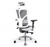 Ergonomické kancelárske herné kreslo Basic, bielo-sivá
