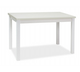 ADAM TABLE WHITE MAT 100x60