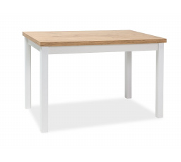 ADAM TABLE LANCELOT / WHITE MAT 100x60